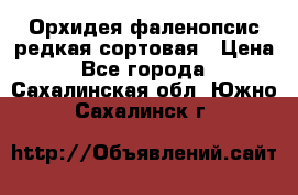 Орхидея фаленопсис редкая сортовая › Цена ­ 800 - Все города  »    . Сахалинская обл.,Южно-Сахалинск г.